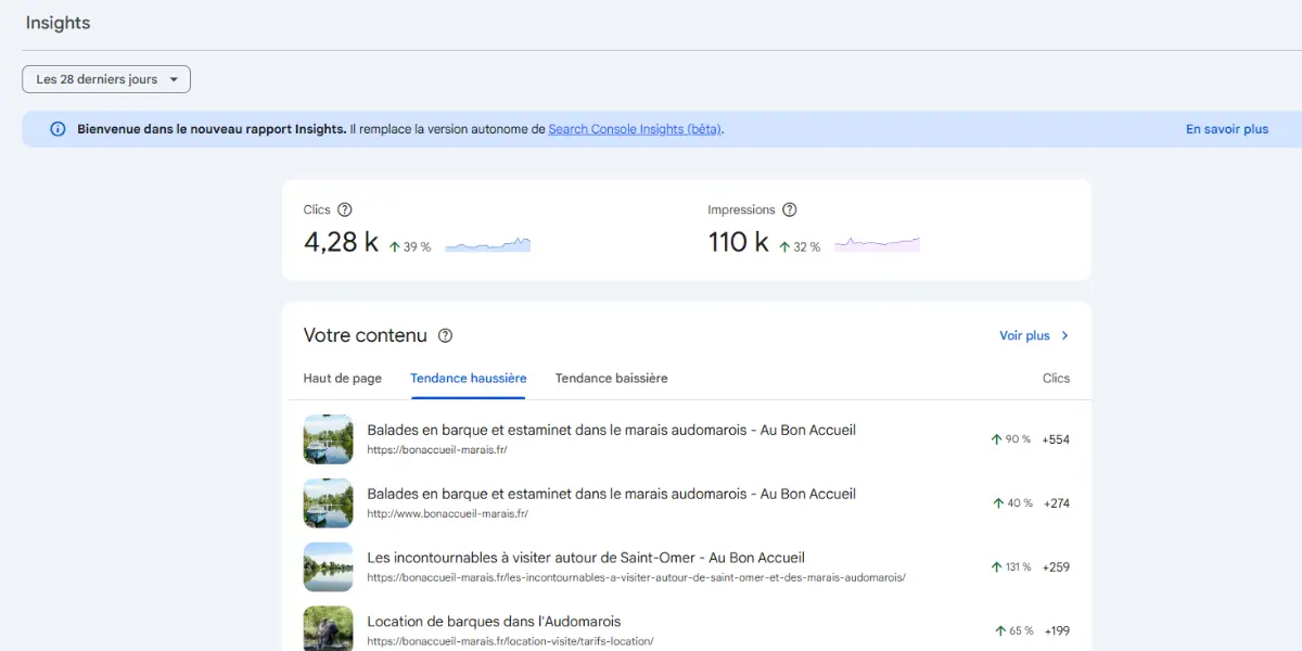 l'onglet insights de la Google Search Console